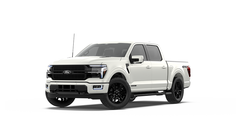 Raptor R - Desert Conqueror - 2